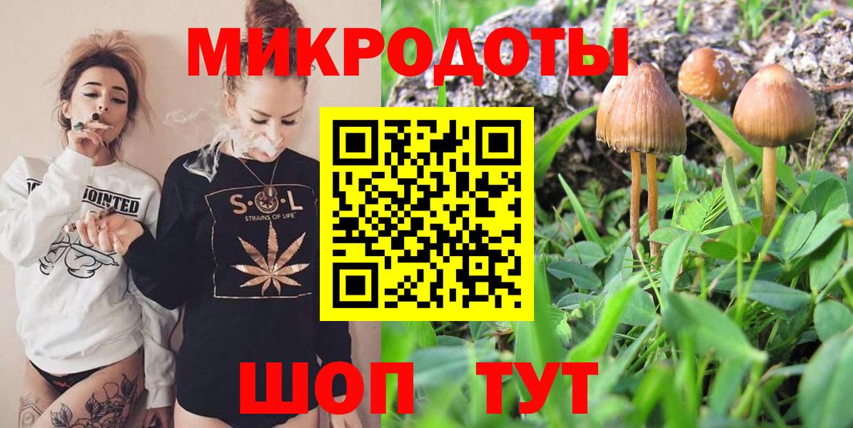 Псилоцибиновые грибы Psilocybe Медногорск