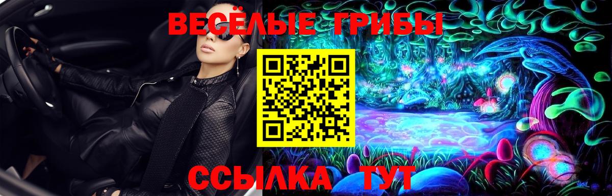 Медногорск  Галлюциногенные грибы Psilocybe  как найти   Вход с VPN  Псилоцибиновые грибы Magic Shrooms 